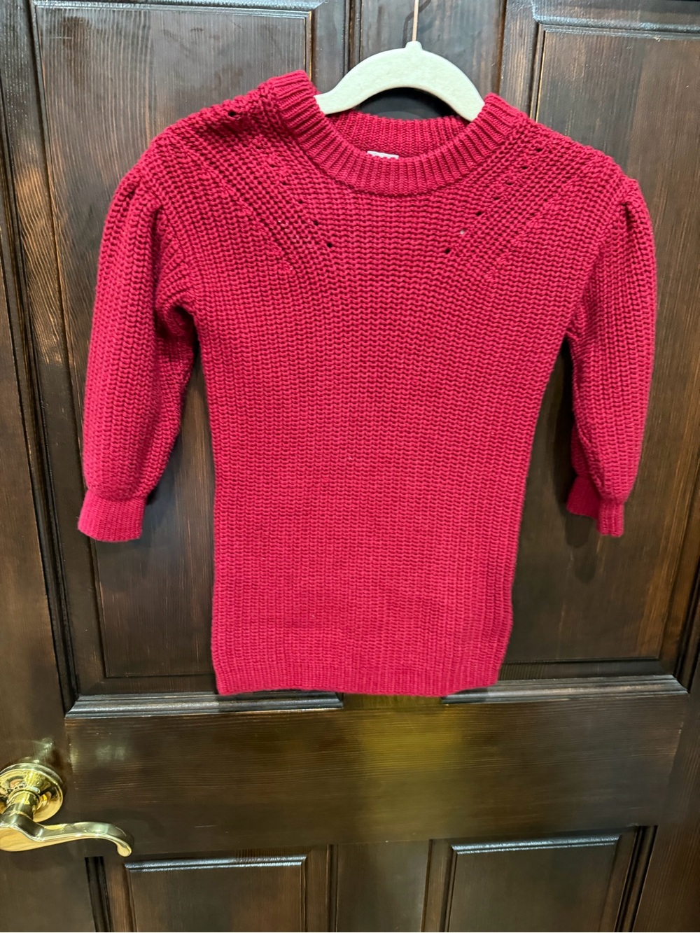 GAP Raspberry Red Crewneck Knit Sweater